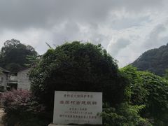 -高荡千年布依古寨旅游景区