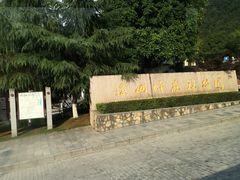 -铁山坪森林公园