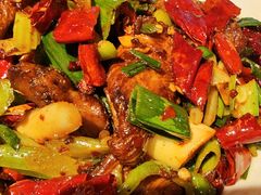 -柴窝堡22号辣子鸡·传承新疆菜