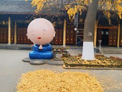 -古大圣慈寺