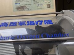 -喜多萌中农锦绣动物医院24H·猫科·牙科MRI·CT