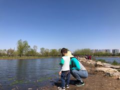 -大兴滨河森林公园