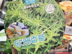 -Olé精品超市(海上世界店)