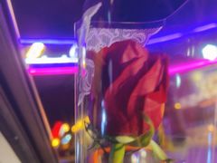 -枫花园汽车电影院(朝阳公园店)