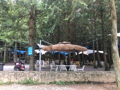 -重庆睡佛山森林公园