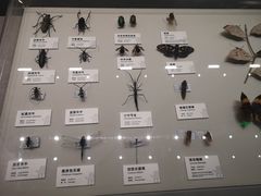 -四川大学博物馆