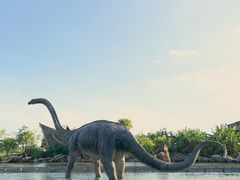 -厦门方特梦幻王国