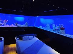 -避尘 Bsense·SPA(新会展总店)