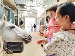 -世纪飞马幼儿园(西城校区)