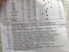 -邢大夫动物医院