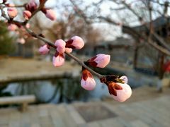 -三里河公园