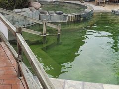 -花水湾第一村温泉大酒店