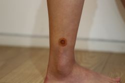 -飛凡TATTOO纹身•原创