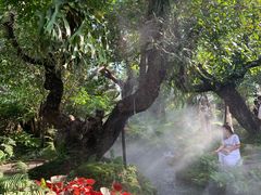 -Chom Cafe and Restaurant