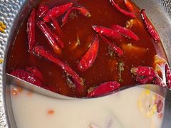 -麻田会 ·鲜活现烹·牛蛙火锅(珠江新城维家思广场店)