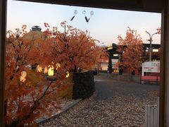 -Blue Concept Cafe&Farm·關於藍