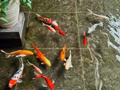 -天津海河悦榕庄·Lobby Lounge大堂吧