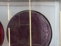 -逸廊大堂吧(三亚海棠湾万丽度假酒店)