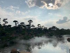 -罗红摄影艺术馆