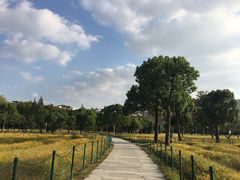 -大宁灵石公园西门票处