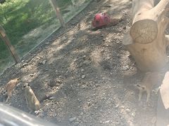 -水上乐园·欢乐世界