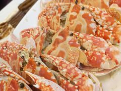 -欢乐海岸美食联盟
