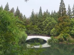-东平国家森林公园
