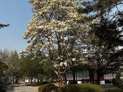 -北京世界公园