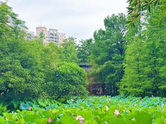 -成都仁恒格蓝柏薇酒店公寓