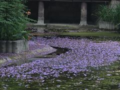 -龙潭水乡