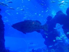 -成都浩海立方海洋公园