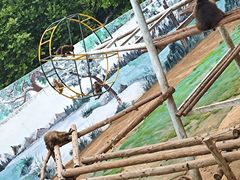 -西霞口神雕山野生动物世界