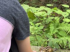 -汤旺河林海奇石景区