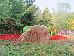 -长白岛森林公园