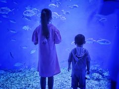 -波塞冬旅游度假区