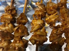 -鼎原力量东北吊炉烧烤(临河街店)