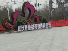 -武汉紫薇都市田园