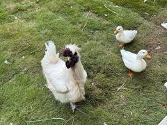 -HERRE·FARM 赫尔露营农场·团建聚会包场