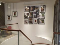 -Peet's Coffee皮爷咖啡(豫园店)