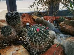 -北京植物园南门售票处