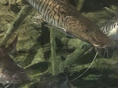 -梦幻海洋王国(吾悦广场张家港店)