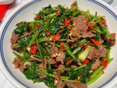 香菜炒牛肉-壹盏灯(蚂蚁工房店)