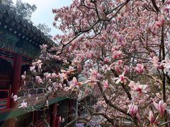 -潭柘寺景区