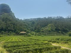 -武夷山风景名胜区-玉女峰