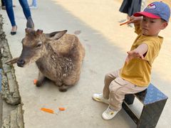 -美吉姆儿童发展中心(芜湖万达广场店)