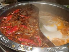 -朱氏胖子烂火锅(洪崖洞店)