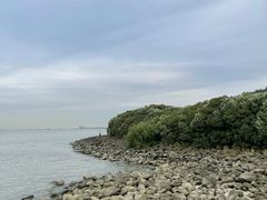 -上海吴淞炮台湾国家湿地公园