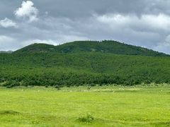 -玉湖村