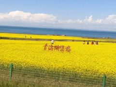-青海湖国家重点风景名胜区
