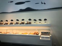 -BLACKSWAN黑天鹅(环球店)